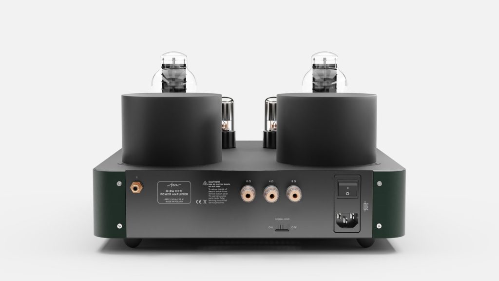 Fezz-EVO-Mira-Ceti-300b-mono-power-amplifier-[Evergreen]-3